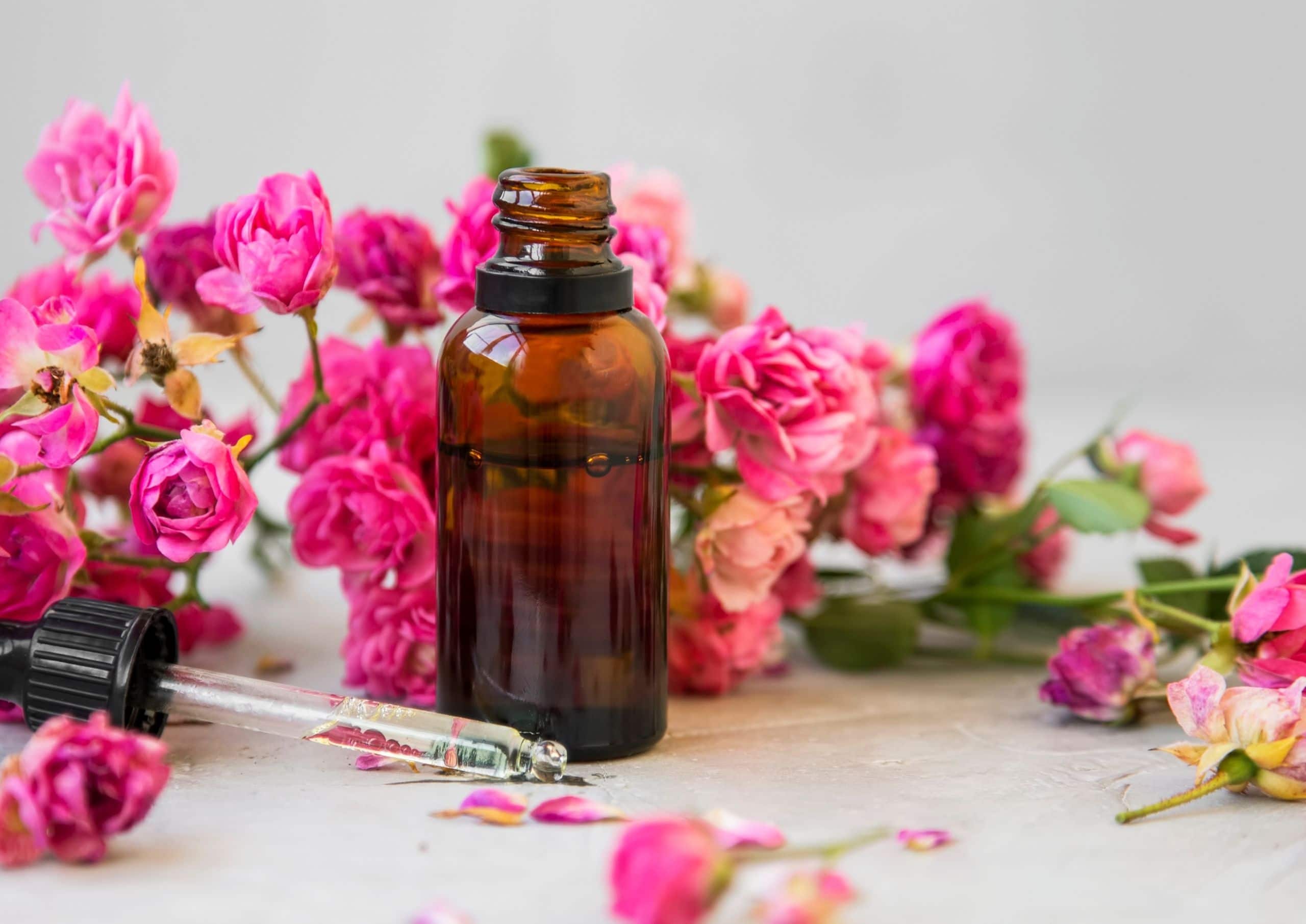 Rose Oil - Aromatherapy Focus - The Medico Beauty Blog